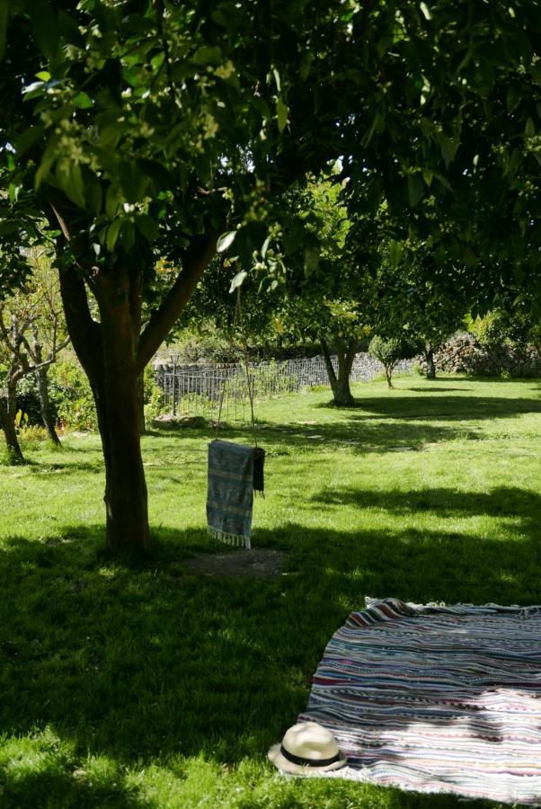 Casa Do Meio Em Quinta De Sao Pedro De Vir-a-corca Monsanto