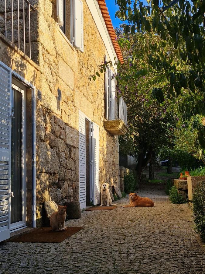 Casa Do Meio Em Quinta De Sao Pedro De Vir-a-corca Country house *