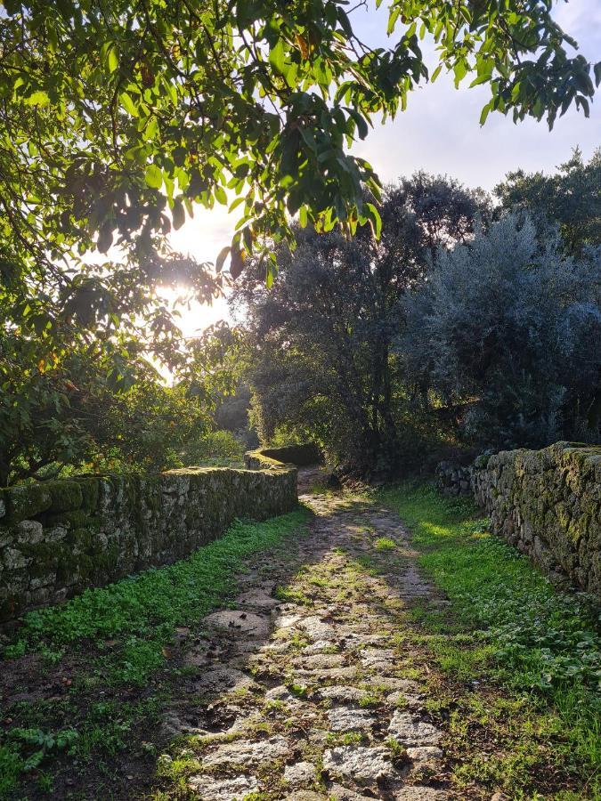 Casa Do Meio Em Quinta De Sao Pedro De Vir-a-corca Country house Monsanto