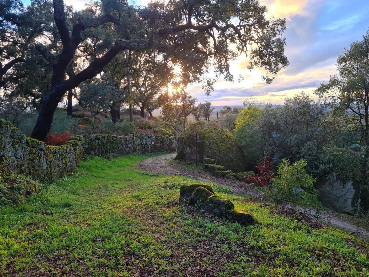 Casa Do Meio Em Quinta De Sao Pedro De Vir-a-corca Country house *